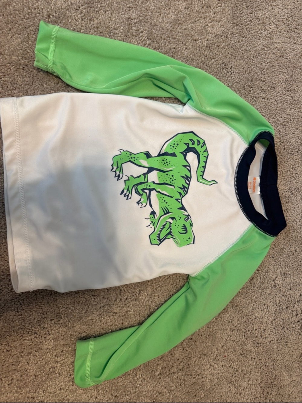 Gymboree Boys Green and White Dino Rashguard